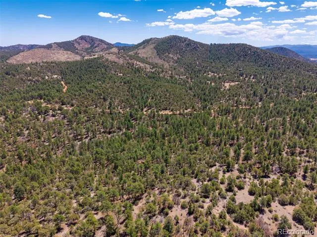 265 Alden Lane Cotopaxi, CO 81223