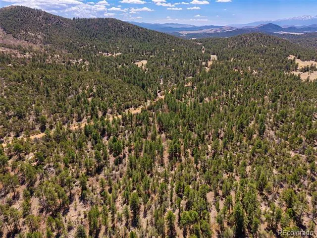 265 Alden Lane Cotopaxi, CO 81223