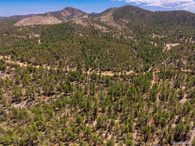 265 Alden Lane Cotopaxi, CO 81223