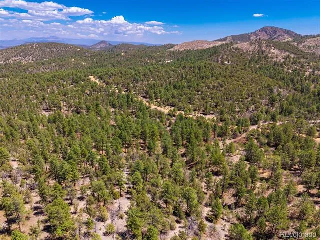 265 Alden Lane Cotopaxi, CO 81223