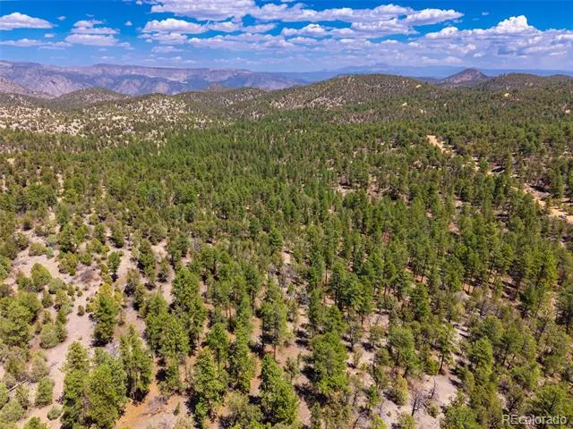 265 Alden Lane Cotopaxi, CO 81223