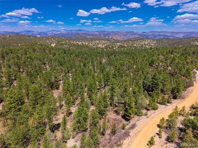 265 Alden Lane Cotopaxi, CO 81223
