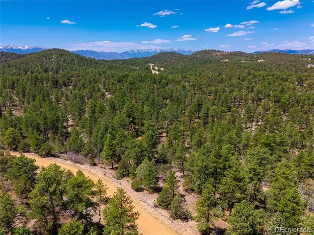 265 Alden Lane Cotopaxi, CO 81223