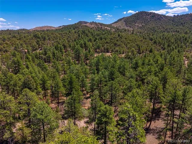 265 Alden Lane Cotopaxi, CO 81223