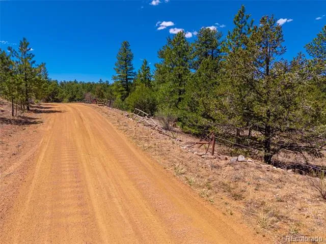 265 Alden Lane Cotopaxi, CO 81223