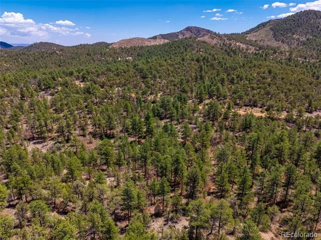 265 Alden Lane Cotopaxi, CO 81223