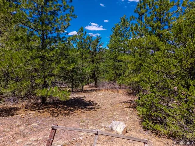 265 Alden Lane Cotopaxi, CO 81223