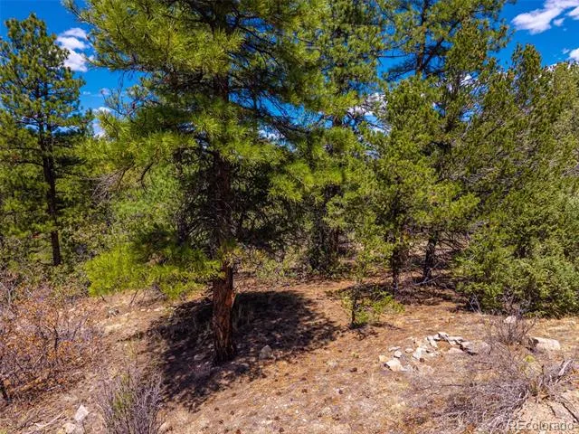 265 Alden Lane Cotopaxi, CO 81223