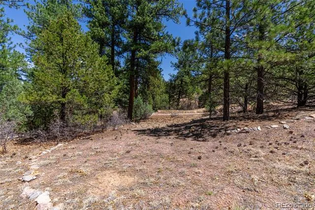 265 Alden Lane Cotopaxi, CO 81223