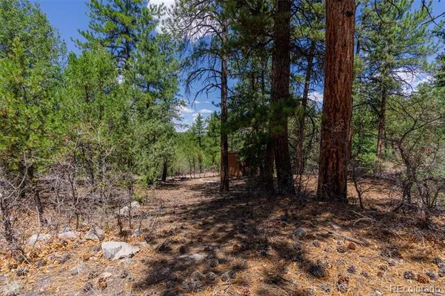 265 Alden Lane Cotopaxi, CO 81223