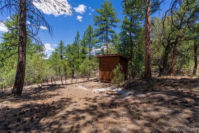 265 Alden Lane Cotopaxi, CO 81223