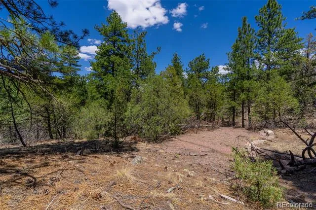 265 Alden Lane Cotopaxi, CO 81223
