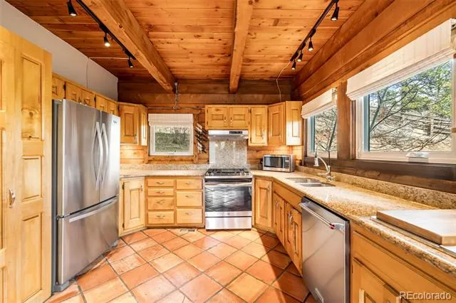 3890 S Skyline Drive Evergreen, CO 80439