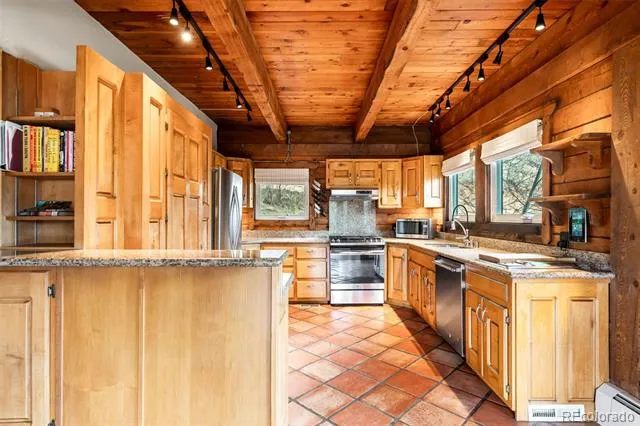 3890 S Skyline Drive Evergreen, CO 80439