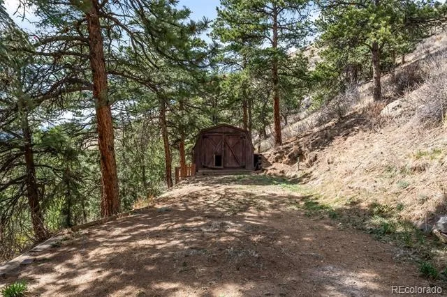 3890 S Skyline Drive Evergreen, CO 80439