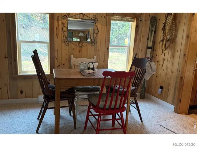 2926 Magnolia Drive Nederland, CO 80466