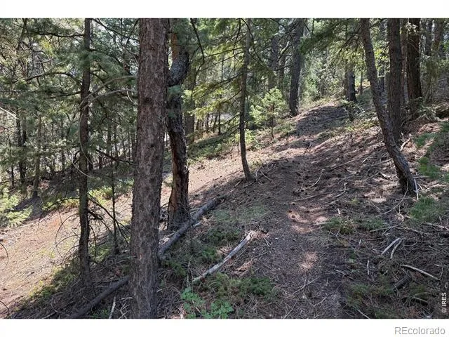 2926 Magnolia Drive Nederland, CO 80466