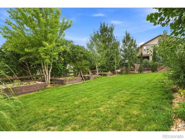 6321 Meadow Grass Court Fort Collins, CO 80528