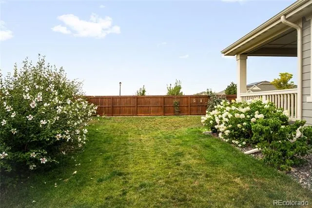 2842 E 161st Place Thornton, CO 80602