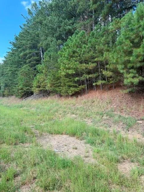 0 Fairview Road Ball Ground, GA 30107