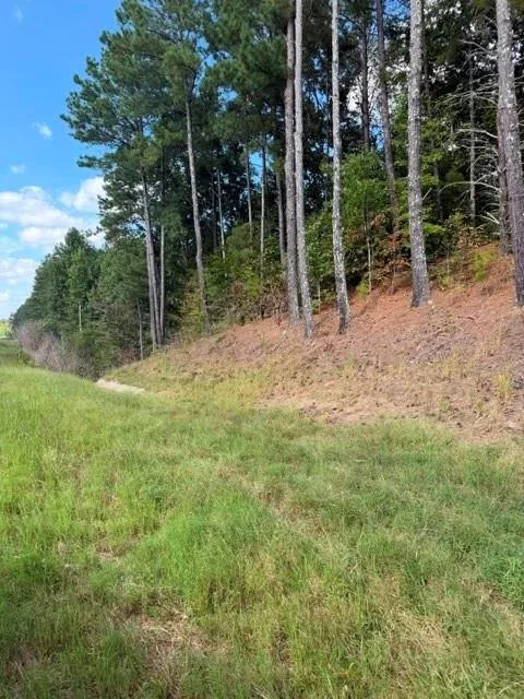 0 Fairview Road Ball Ground, GA 30107