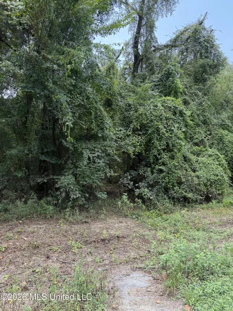 Lot 4 Pascagoula River Drive