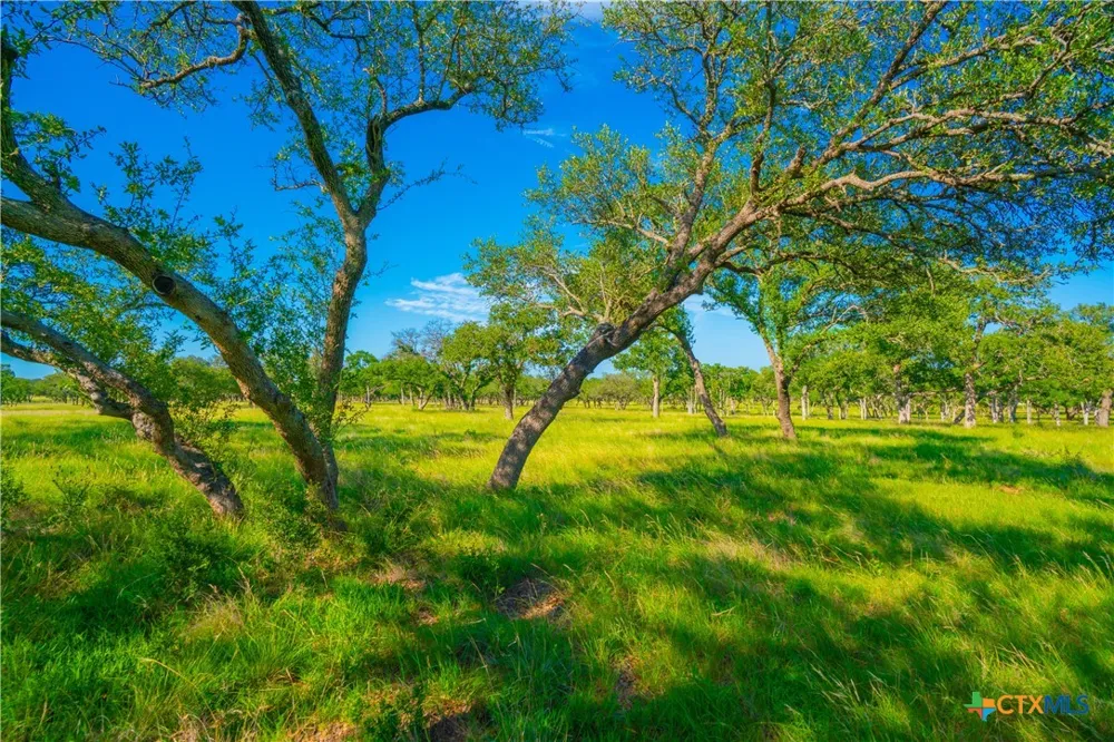 Creekside Ranch Johnson City, TX 78636
