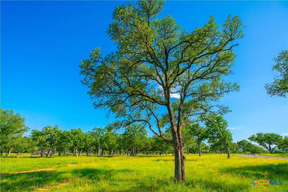 Creekside Ranch Johnson City, TX 78636