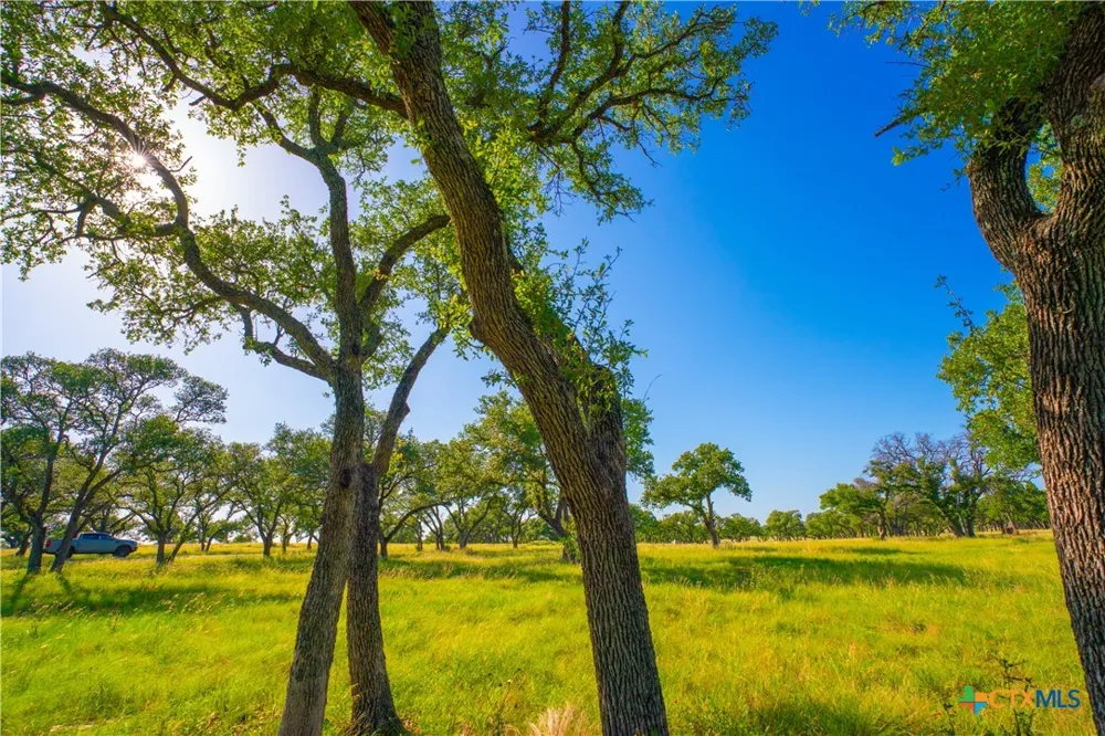 Creekside Ranch Johnson City, TX 78636