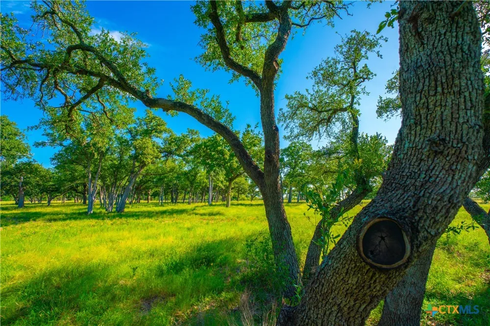 Creekside Ranch Johnson City, TX 78636