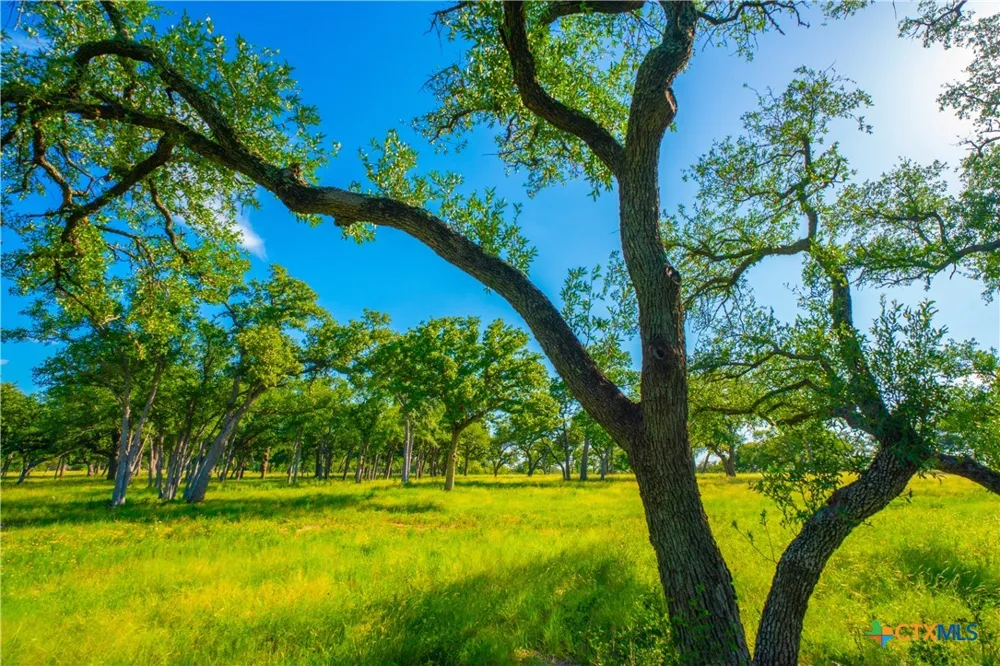 Creekside Ranch Johnson City, TX 78636