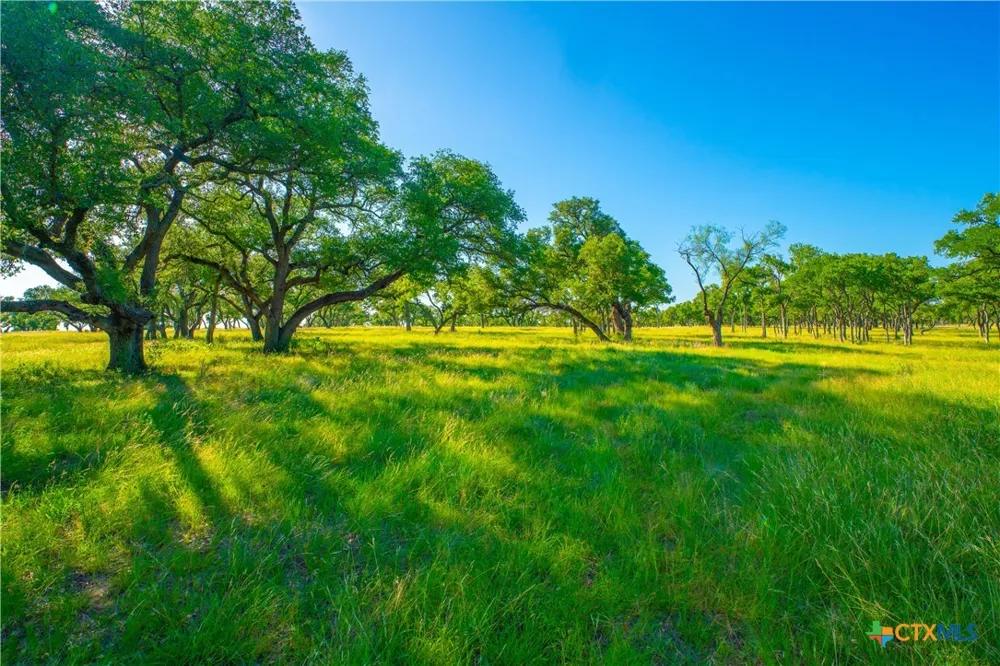 Creekside Ranch Johnson City, TX 78636