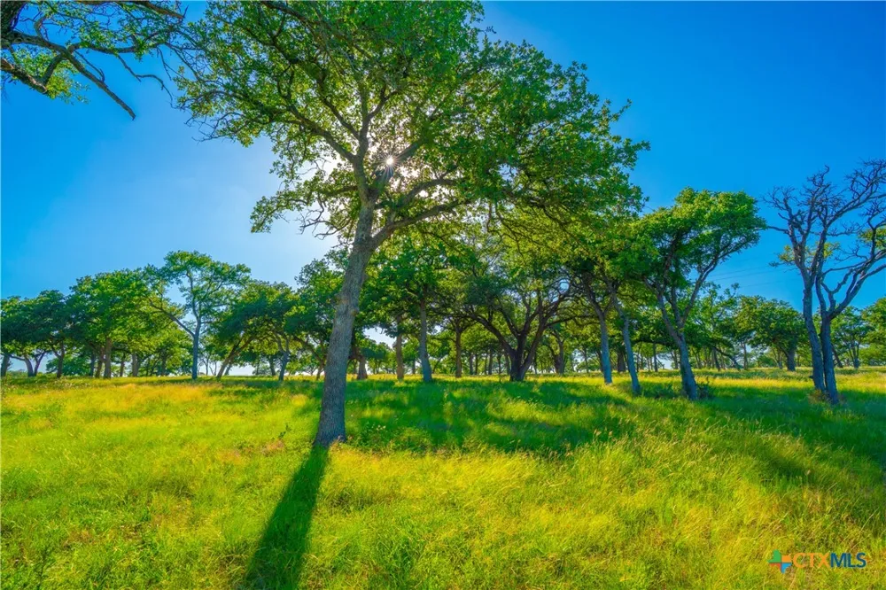 Creekside Ranch Johnson City, TX 78636