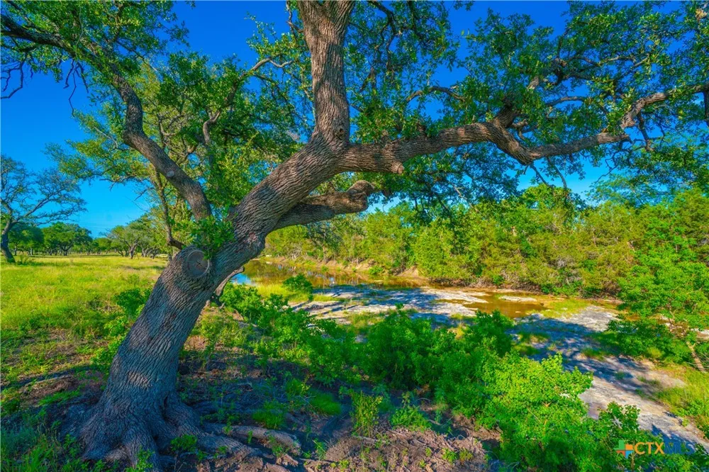 Creekside Ranch Johnson City, TX 78636