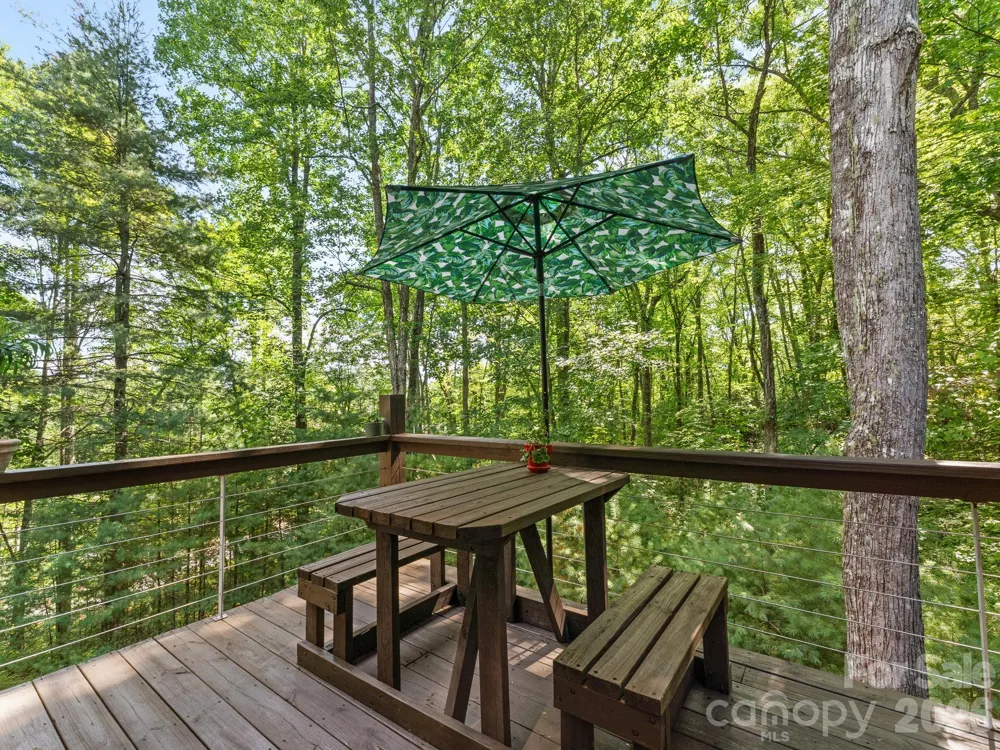 1370 Salola Lane Brevard, NC 28712