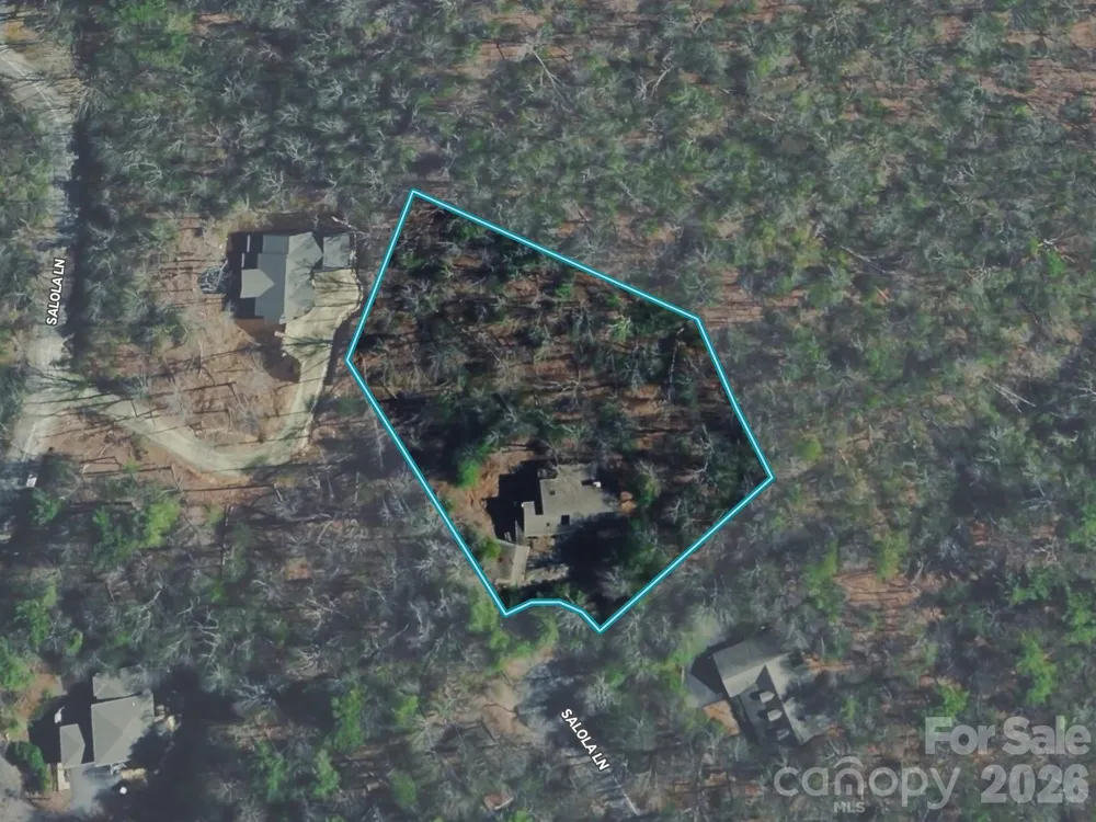 1370 Salola Lane Brevard, NC 28712
