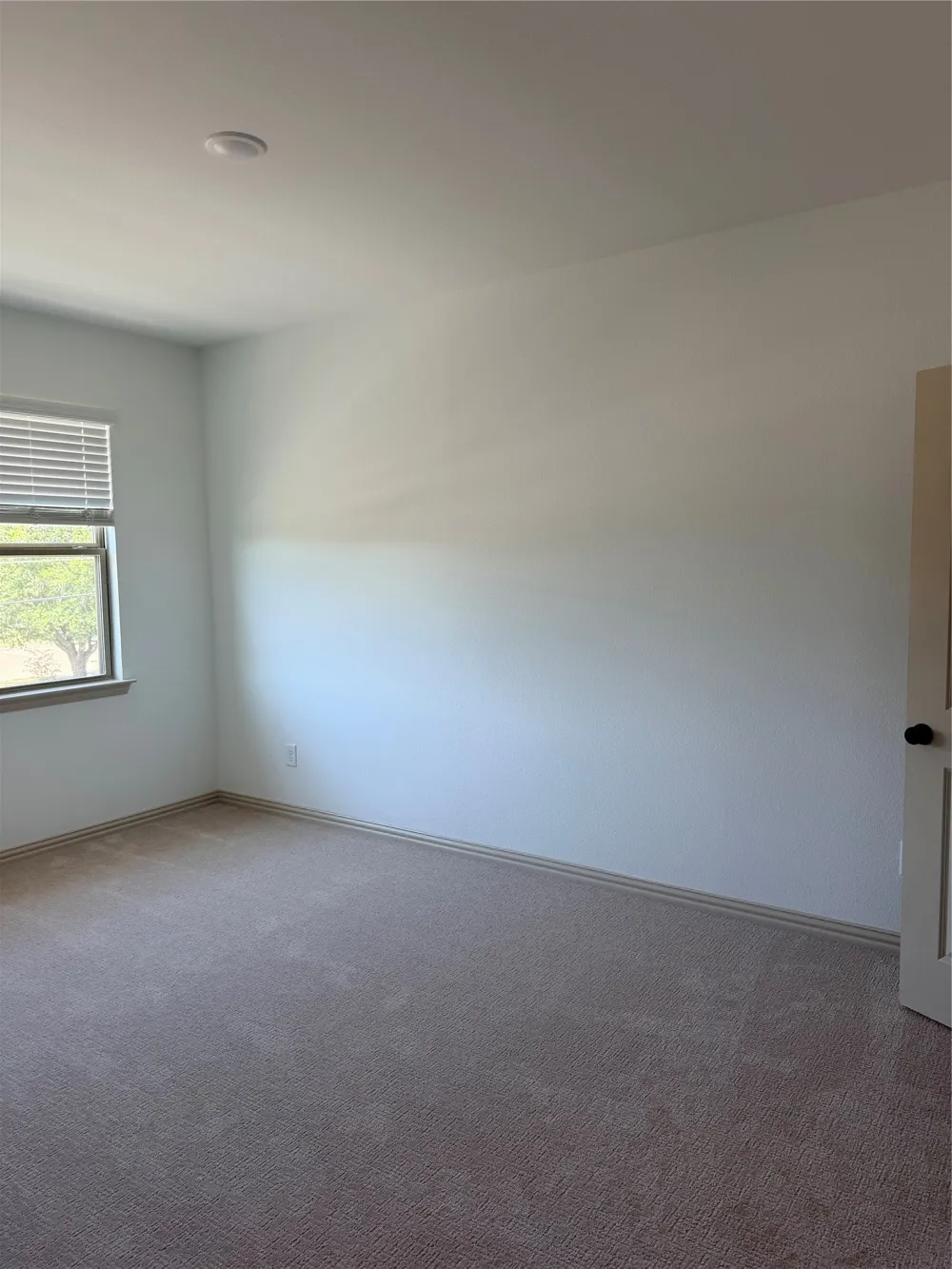 7328 Grant Avenue North Richland Hills, TX 76180