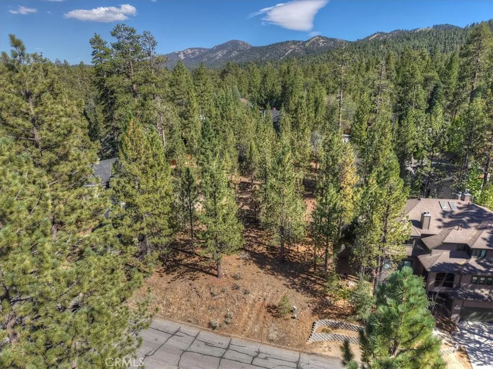 Evergreen Drive Big Bear Lake, CA 92315