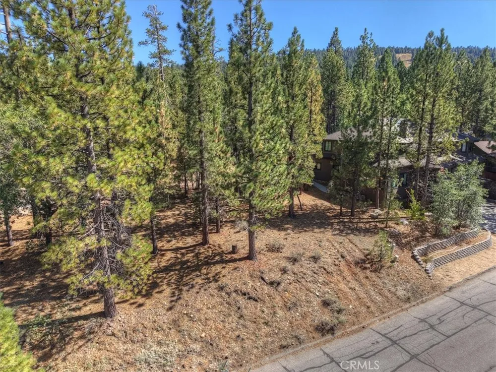 Evergreen Drive Big Bear Lake, CA 92315
