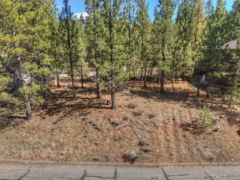 Evergreen Drive Big Bear Lake, CA 92315