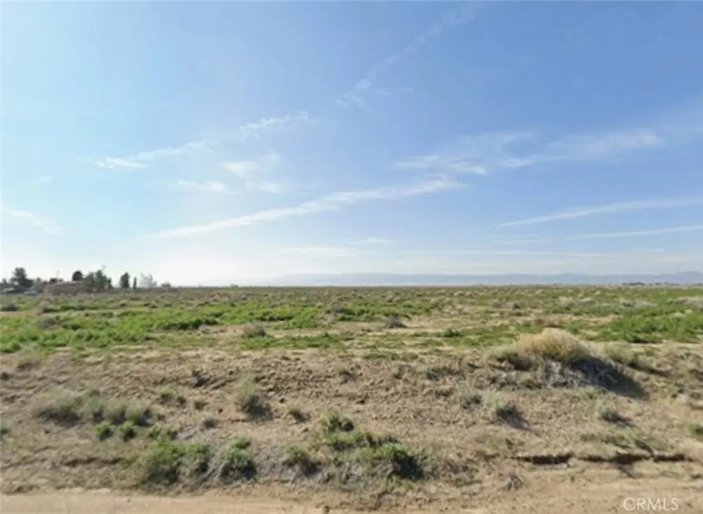 72 Stw Antelope Acres, CA 93536