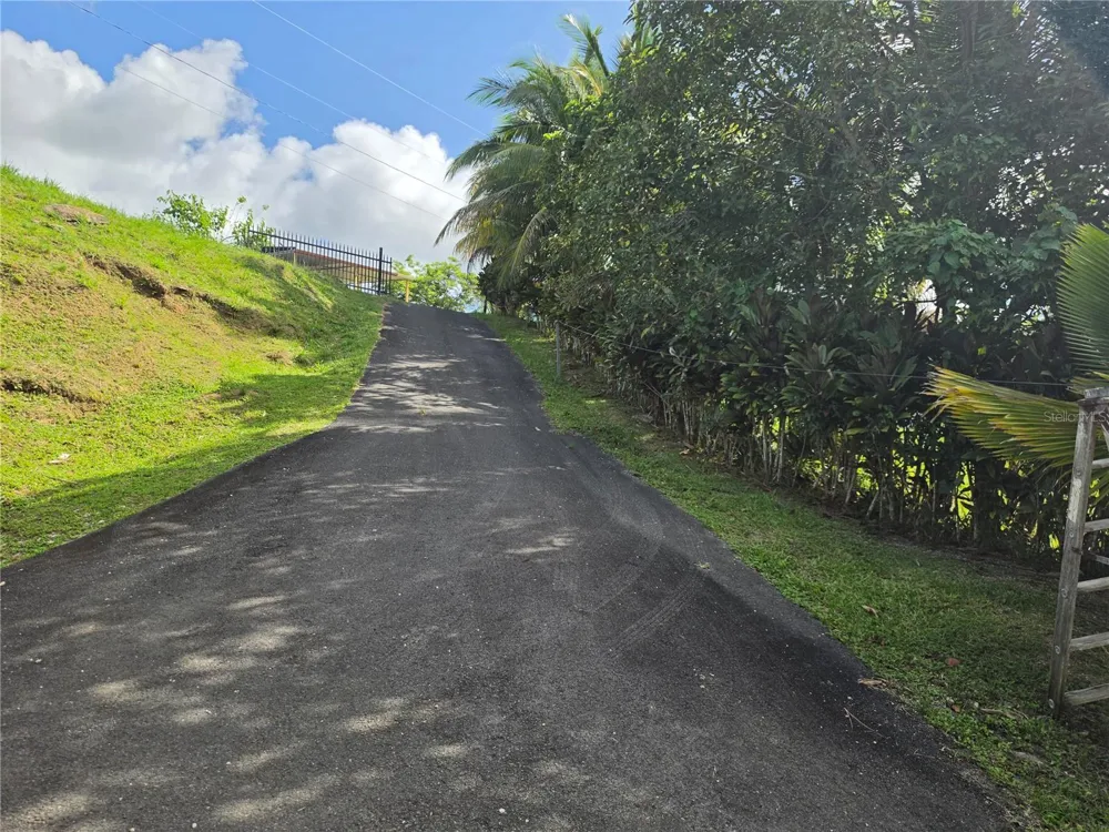 PR 900 BO GUAYABOTA Yabucoa, PR 00767