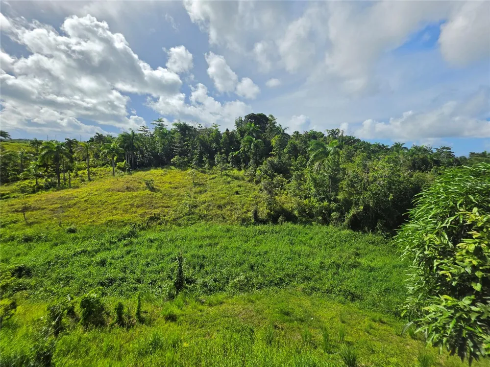 PR 900 BO GUAYABOTA Yabucoa, PR 00767