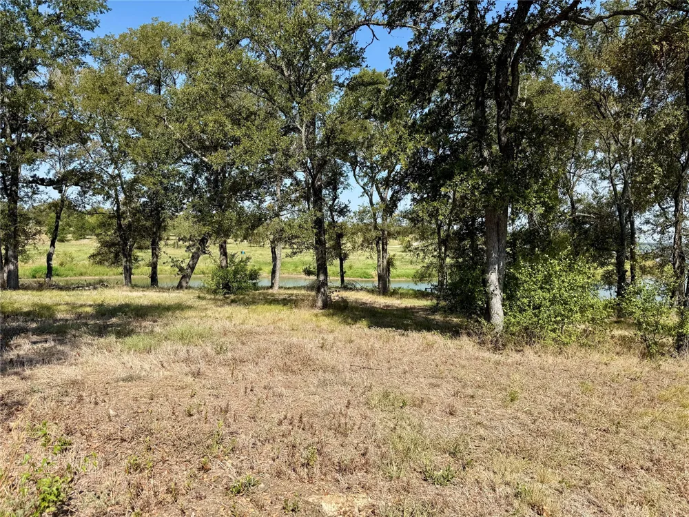 Diamond Point Drive Corsicana, TX 75109