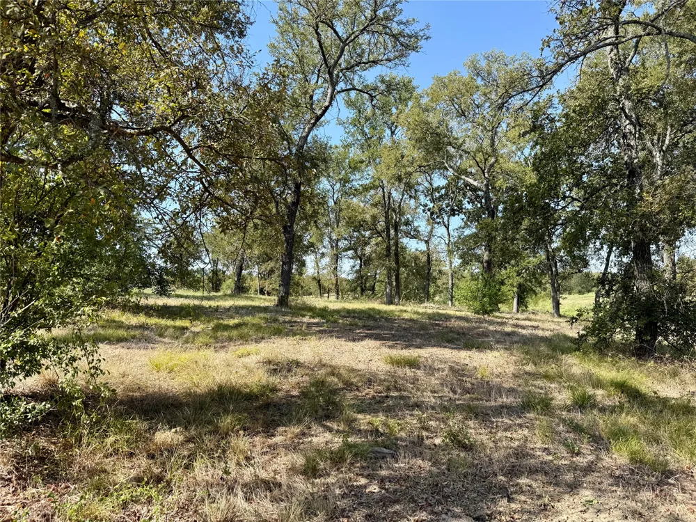 Diamond Point Drive Corsicana, TX 75109