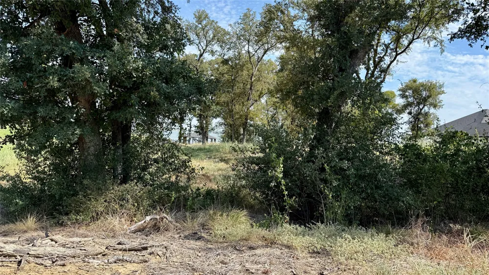 Diamond Point Drive Corsicana, TX 75109