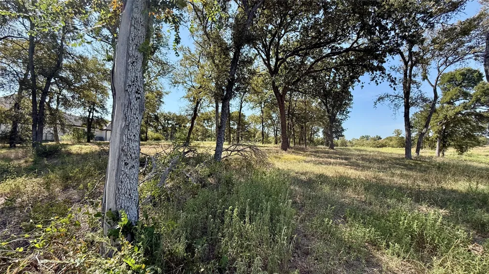 Diamond Point Drive Corsicana, TX 75109