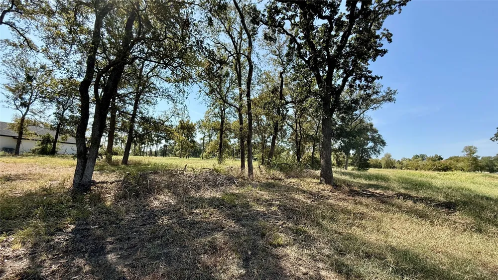 Diamond Point Drive Corsicana, TX 75109
