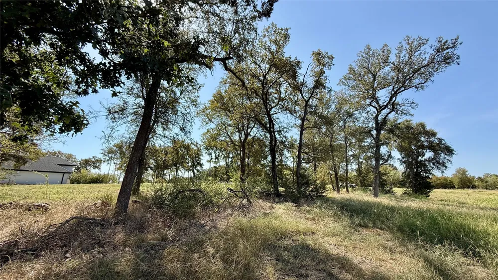 Diamond Point Drive Corsicana, TX 75109