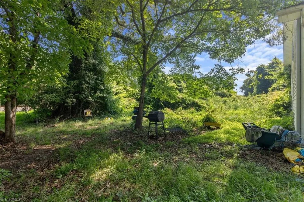 4345 Folger Road Julian, NC 27283